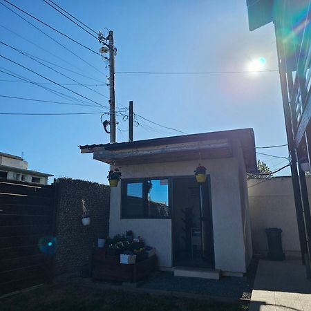 Vila Natalia Vama Veche Esterno foto